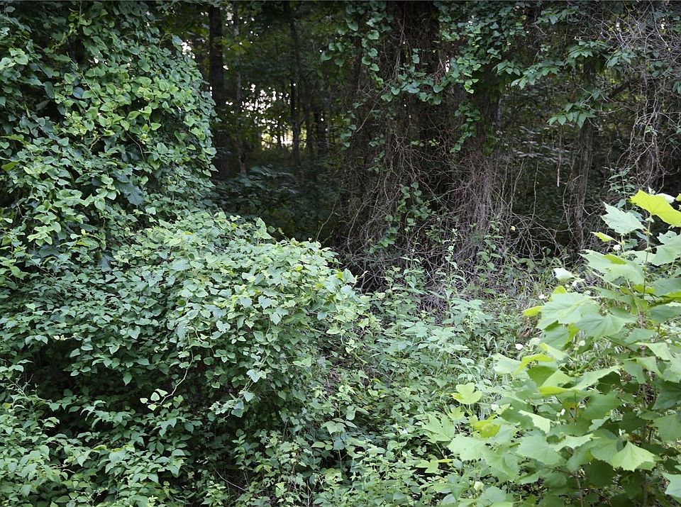 2nd image of 12 Thaxted Dr