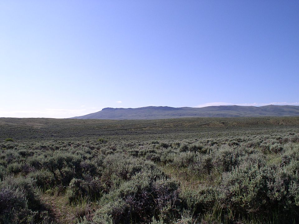Big Sage with lots of water