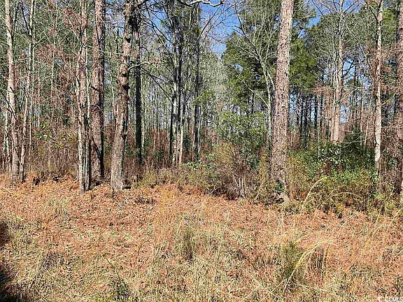 2nd image of 69AC Easler Hwy