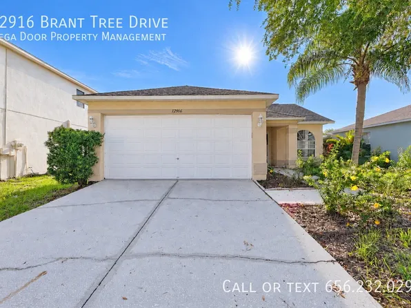 12916 Brant Tree Dr, Riverview, FL 33579