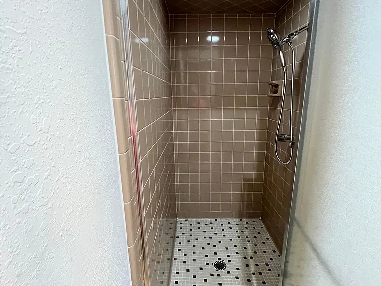 Master walk-in shower