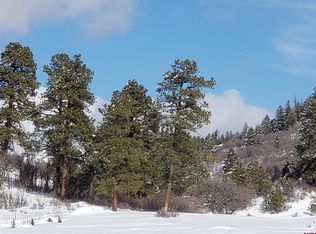 1161 Archuleta Mesa Pl, Pagosa Springs, CO 81147