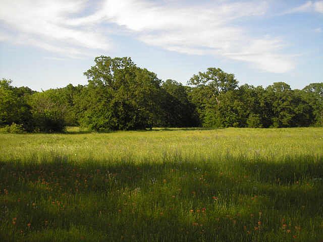 2nd image of 7480 County Road 4095