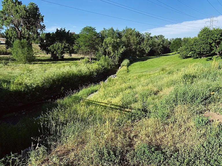 Nearby park with a gulch, disc golf course, paved biking/walking trails, and access to the light rail.