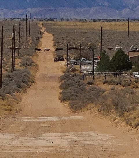 1st image of Hormiga Ct Lot 58D