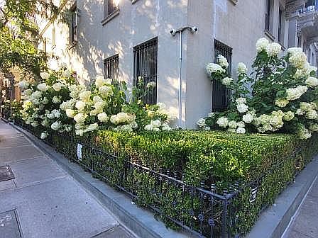 2nd image of 478 Central Park W APT 6B