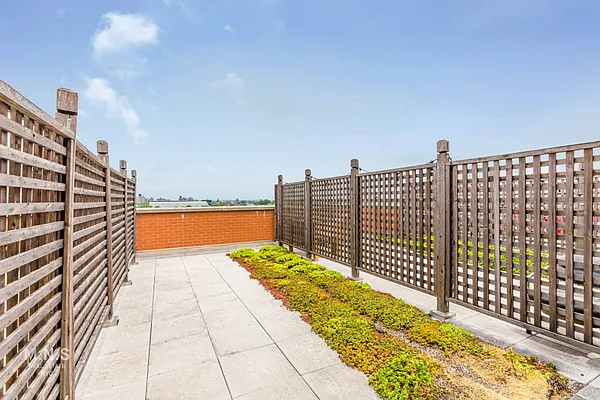 Rented by MNS | media 1