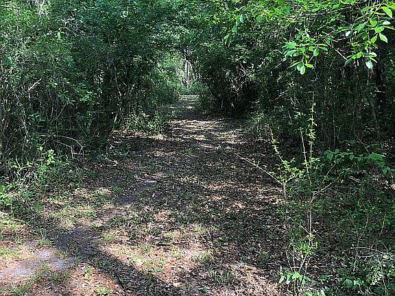 3rd image of 24426 NW County Road 1493