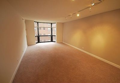 1st image of 1111 N Dearborn St APT 3110
