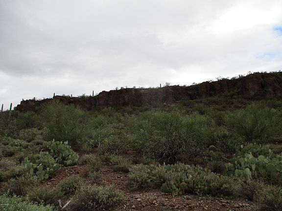 3rd image of 5454 S Camino De Oeste
