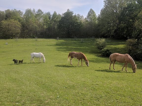 4th image of 35188 Wolf Hill Rd