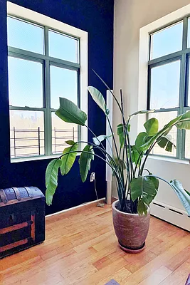 Rented by Corcoran | media 4