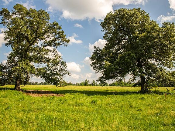 3rd image of Asa Johnson Rd