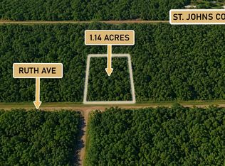 10925 Ruth Avenue, Hastings, FL 32145