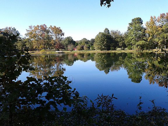 View of the pond