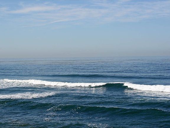 Views from the house. 