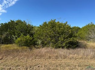 36023 Cedar Ridge Dr, Whitney, TX 76692