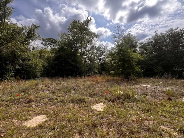 7095 N Foxdale Dr Lot 38, Dunnellon, FL 34434