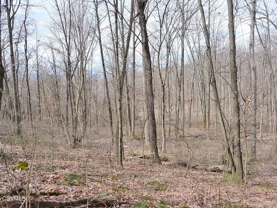 1st image of 530 Tall Oak Ln