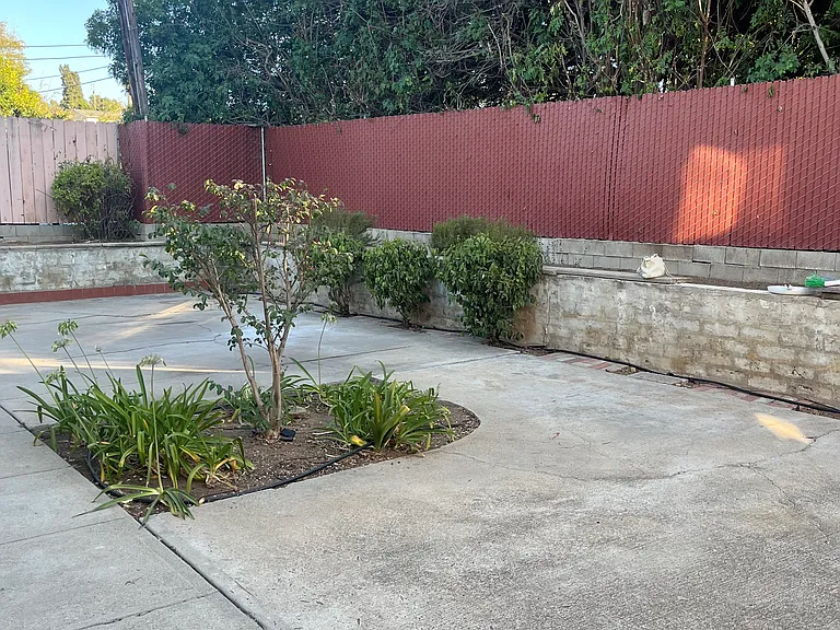 826 Birch Ave — Photo 5
