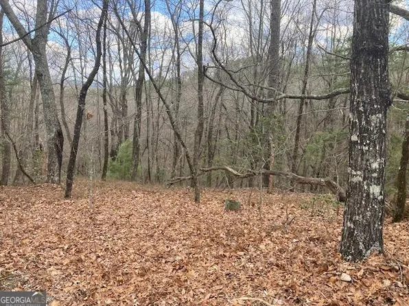 595 Whispering Dale Dr, Clarkesville, GA 30523