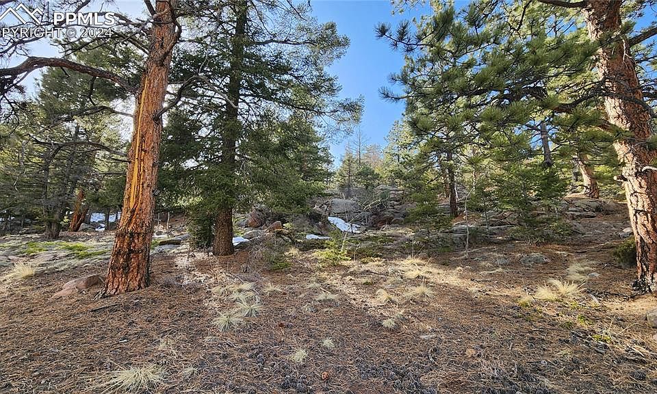 1st image of 81 Horseshoe Trl