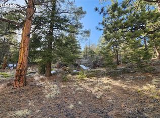 81 Horseshoe Trl, Florissant, CO 80816