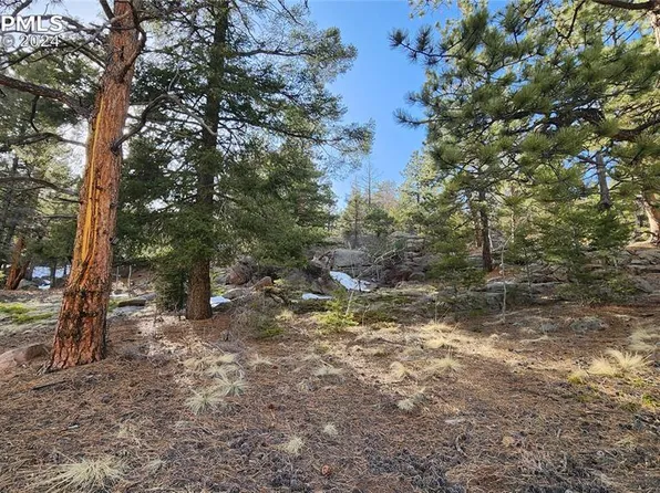 81 Horseshoe Trl, Florissant, CO 80816