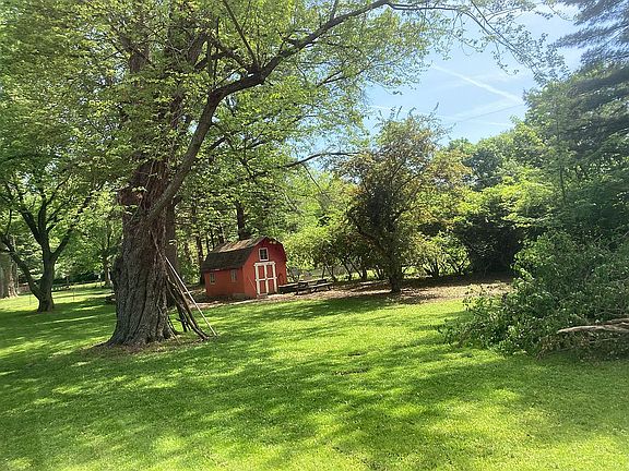 Cleared out the overgrown 