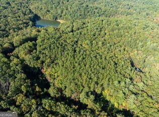 1 Turniptown Rd, Ellijay, GA 30536