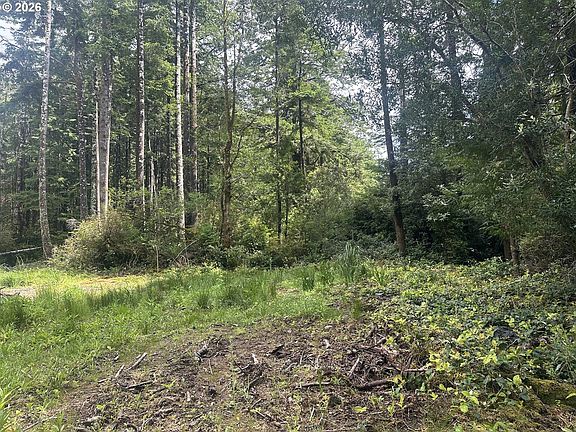 3rd image of Cedar Hollow Rd