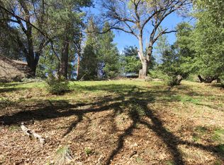 16670 Delores Ct, Pioneer, CA 95666