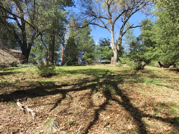 16670 Delores Ct, Pioneer, CA 95666
