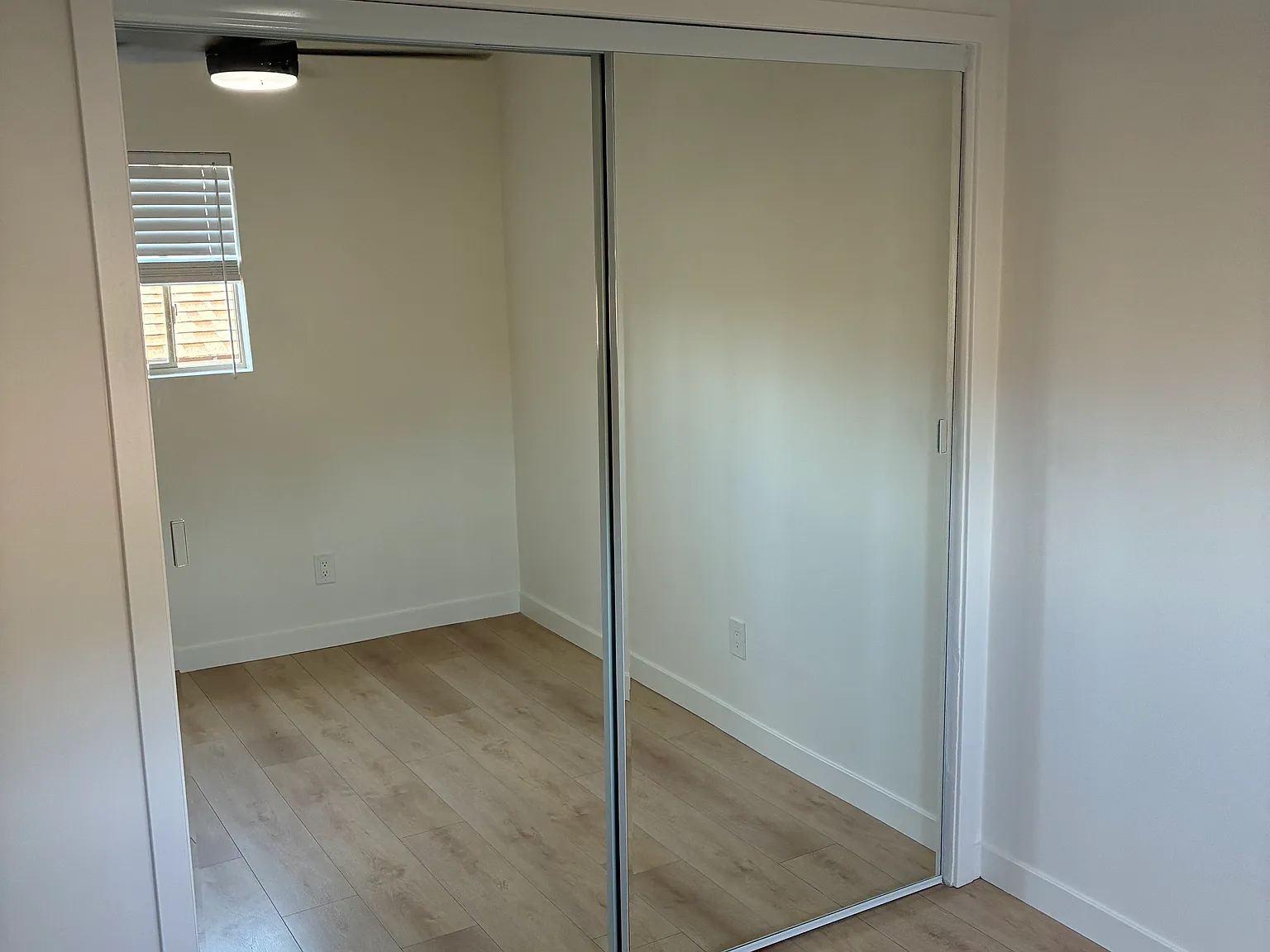 2 bed, 800 sqft, $1,300 — Photo 3