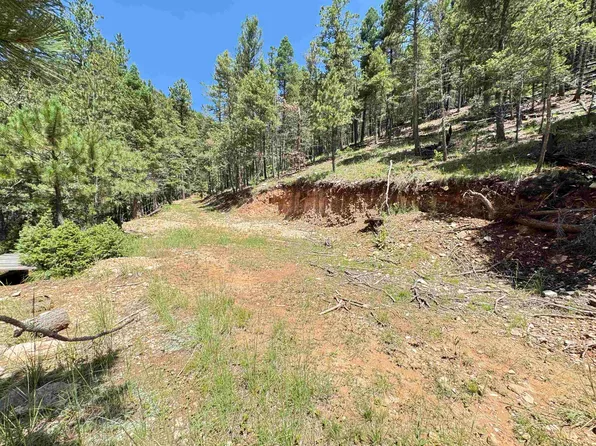 230-230A Dark Canyon Rd, Cloudcroft, NM 88317