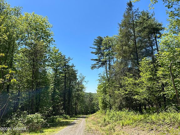 2nd image of 112 Tallman Hollow Rd