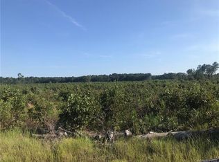 3364 Old Stagecoach Rd, Bethune, SC 29009