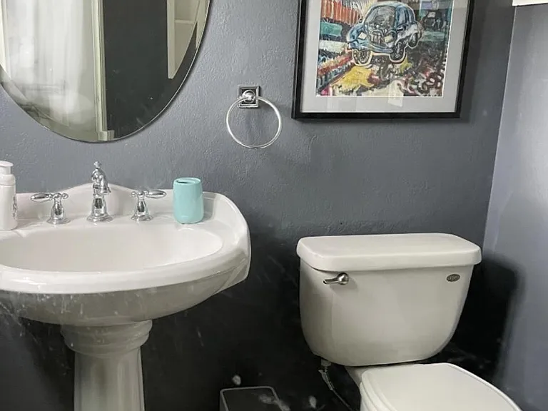 Hall Bath with Shower