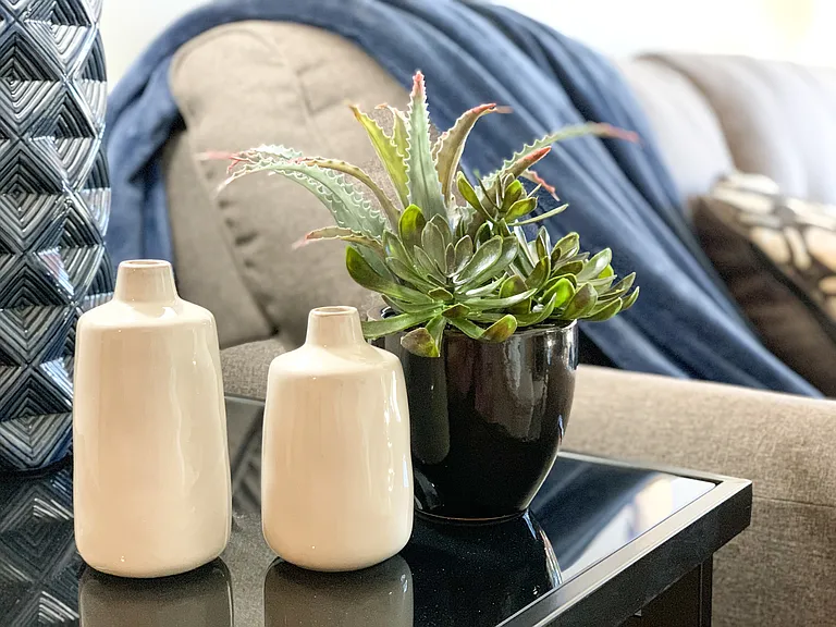 Ridge View Apartments Living Room