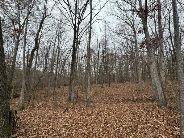 0 Dogwood Cir Lot 4, Waverly, TN 37185