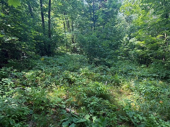 4th image of S Tulaby Lake Ln
