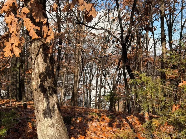 46 Carol Rd, Lake Ozark, MO 65049