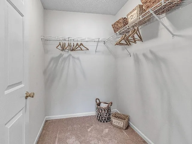 Huge Walk In Closet
