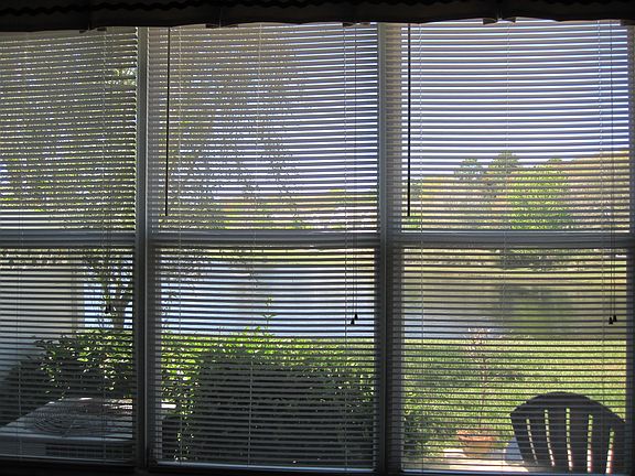 View of Lake from Den