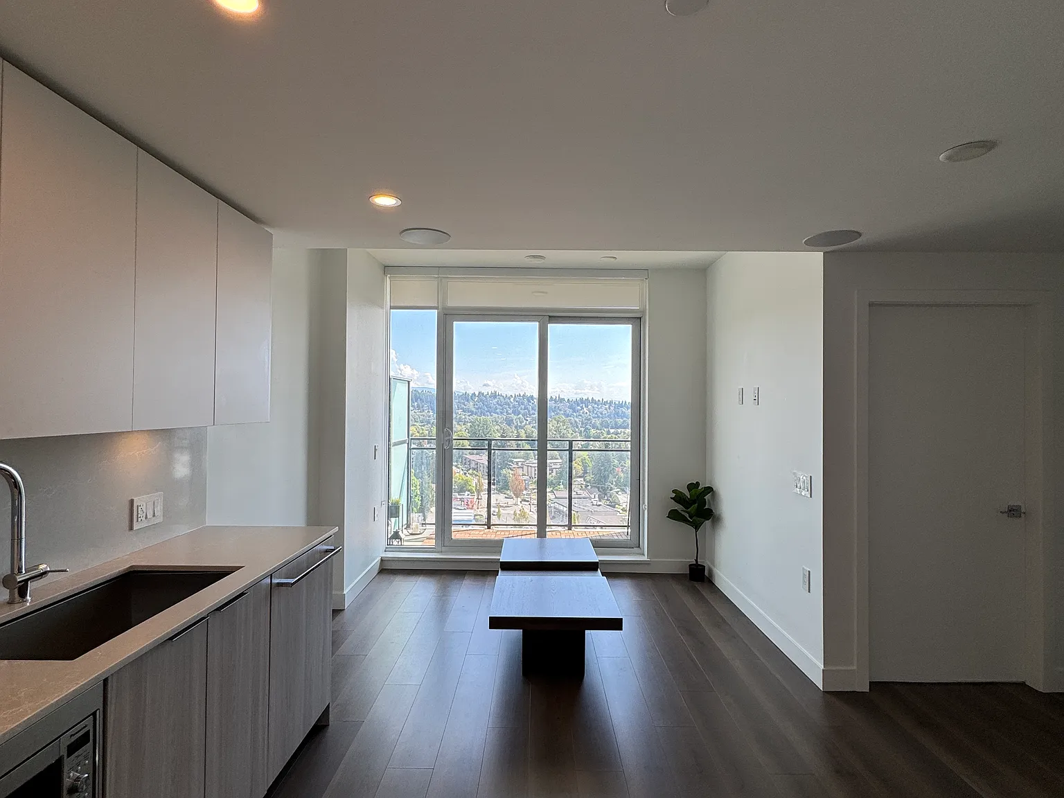 1 bed, 446 sqft, $1,850 — Photo 4