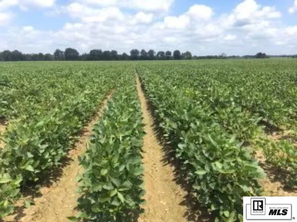 0 Highway 3, Sledge, MS 38670