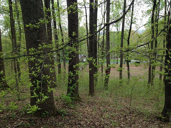 5th image of Edgewood Dr