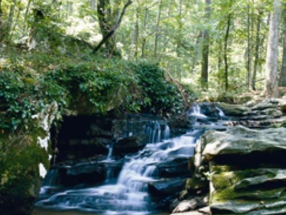 3rd image of 466 Preserve Pkwy
