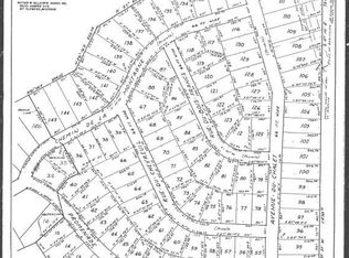 15073 Promenade Des Skieurs, Wolverine, MI 49799