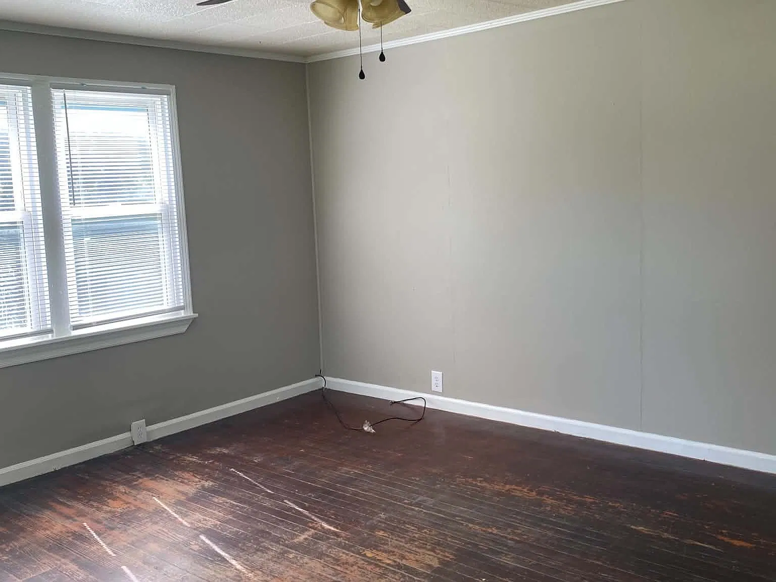 2 bed, $1,250 — Photo 4